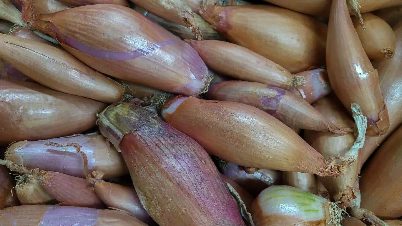 El mejor sustituto de las cebollas dulces: cocina sustitutiva