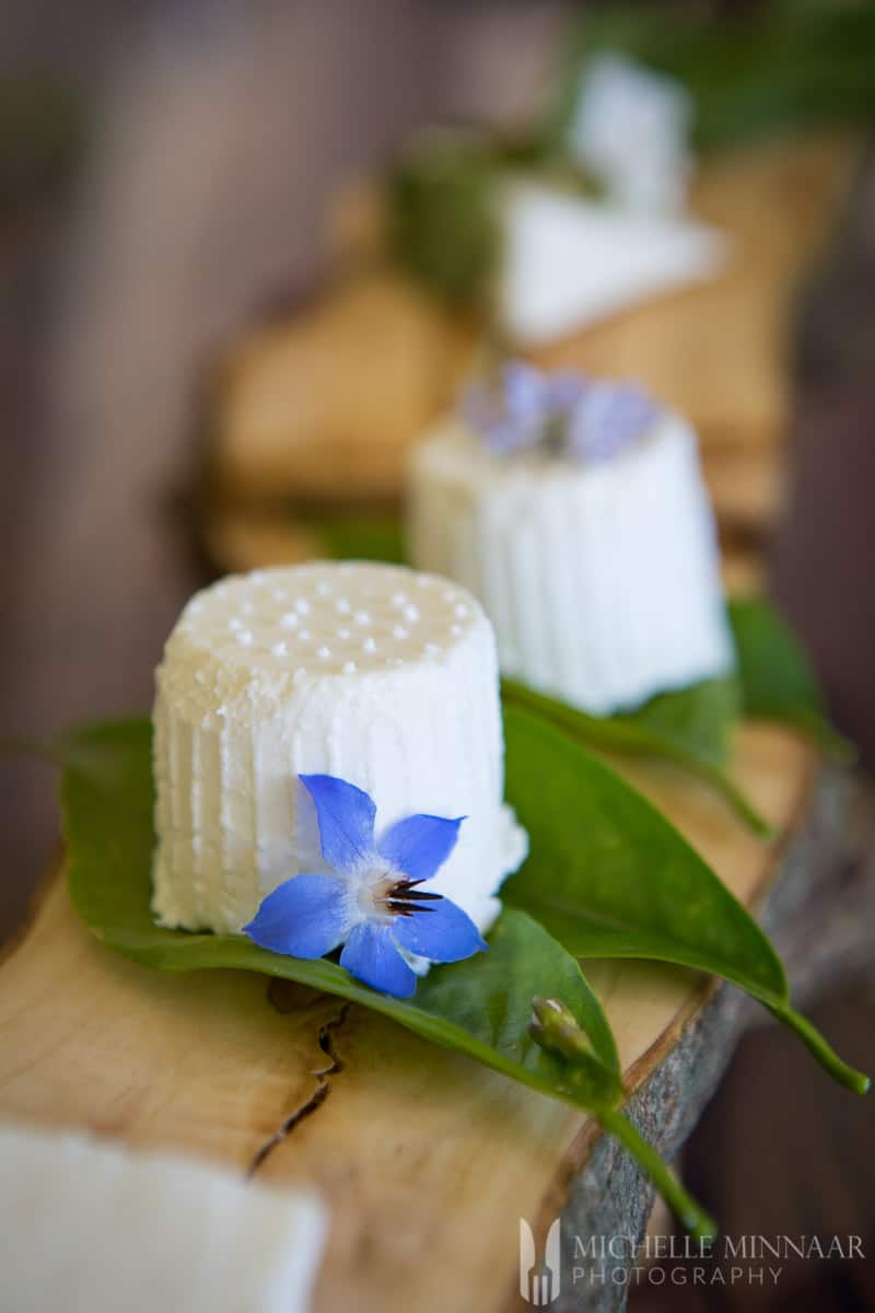 22 mejores sustitutos del queso fresco 22 mejores sustitutos del queso fresco