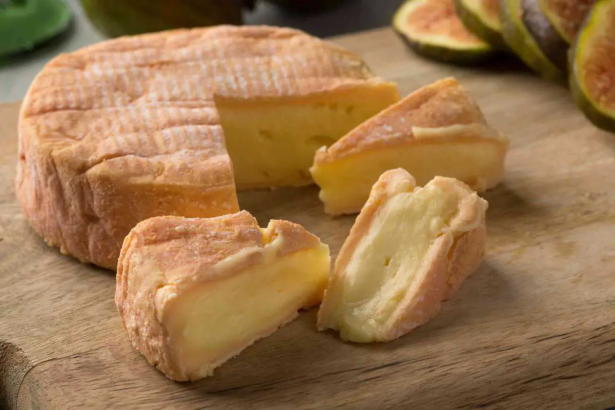 13 mejores sustitutos del queso Monterey Jack