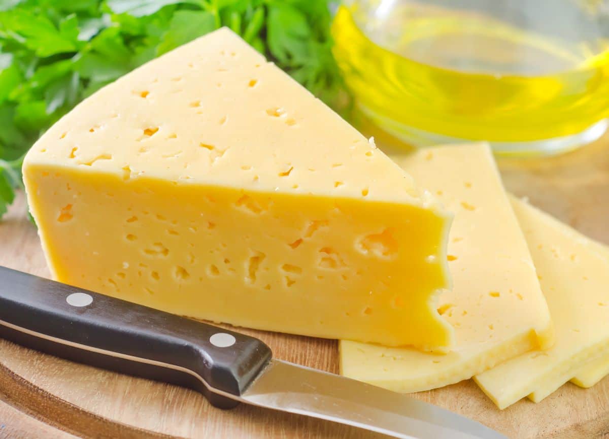13 mejores sustitutos del queso Monterey Jack