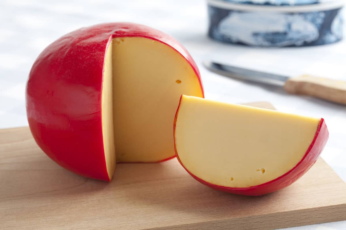 13 mejores sustitutos del queso Monterey Jack