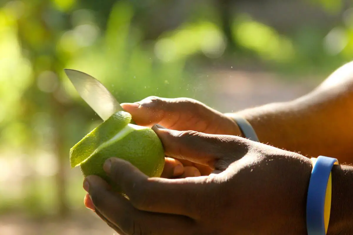 Crujiente de manzana, arándano y canela Crujiente de manzana, arándano y canela
