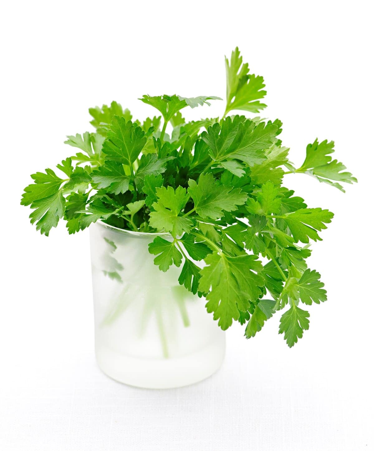 ¿Necesitas un sustituto de la menta? Aquí están los 8 mejores productos de reemplazo ¿Necesitas un sustituto de la menta? Aquí están los 8 mejores productos de reemplazo