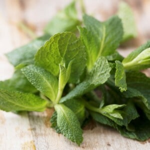 ¿Necesitas un sustituto de la menta? Aquí están los 8 mejores productos de reemplazo ¿Necesitas un sustituto de la menta? Aquí están los 8 mejores productos de reemplazo