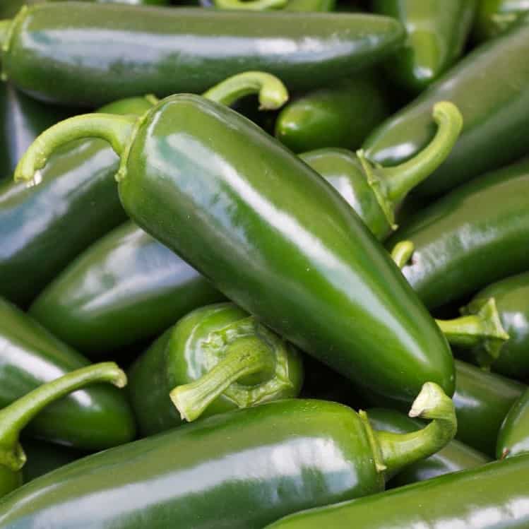 Los 15 mejores sustitutos de los jalapeños Los 15 mejores sustitutos de los jalapeños