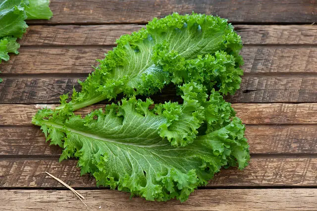 Los mejores sustitutos fáciles del verde mostaza Los mejores sustitutos fáciles del verde mostaza