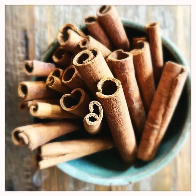 Los mejores sustitutos simples de la canela Los mejores sustitutos simples de la canela