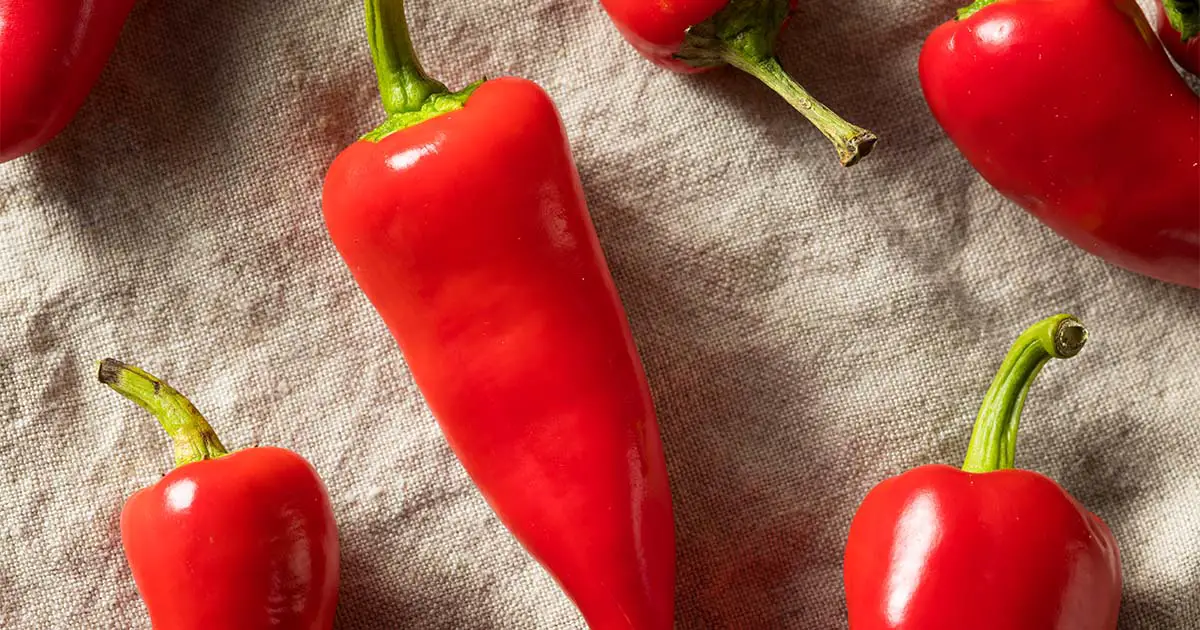 ¿Cuáles son los 3 mejores sustitutos del chile de Fresno?