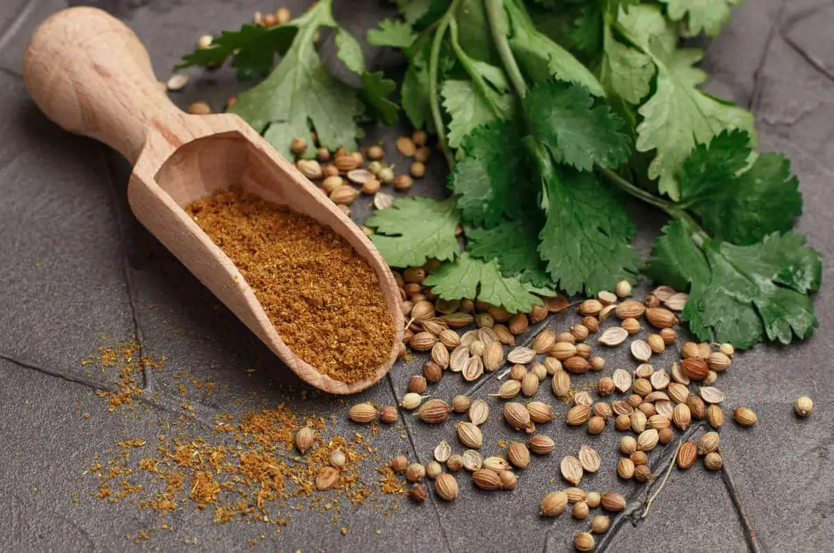 21 sustitutos del curry en polvo 21 sustitutos del curry en polvo