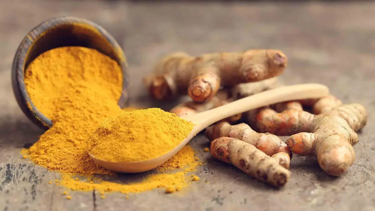 21 sustitutos del curry en polvo 21 sustitutos del curry en polvo